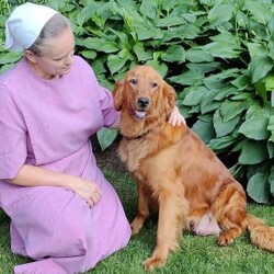 Coal/Goldendoodle									Puppy/Male	/May 21st, 2024,Coal is a sweet, happy puppy, all ready to go to his furever home on July 16th. He’s up to date on deworming and vaccinations, Vet checked with a Health Certificate and comes with a One Year Health Guarantee. 